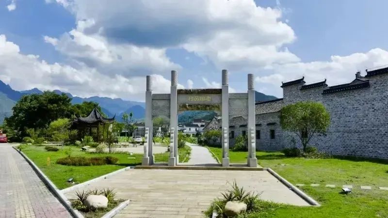 石台富硒野茶