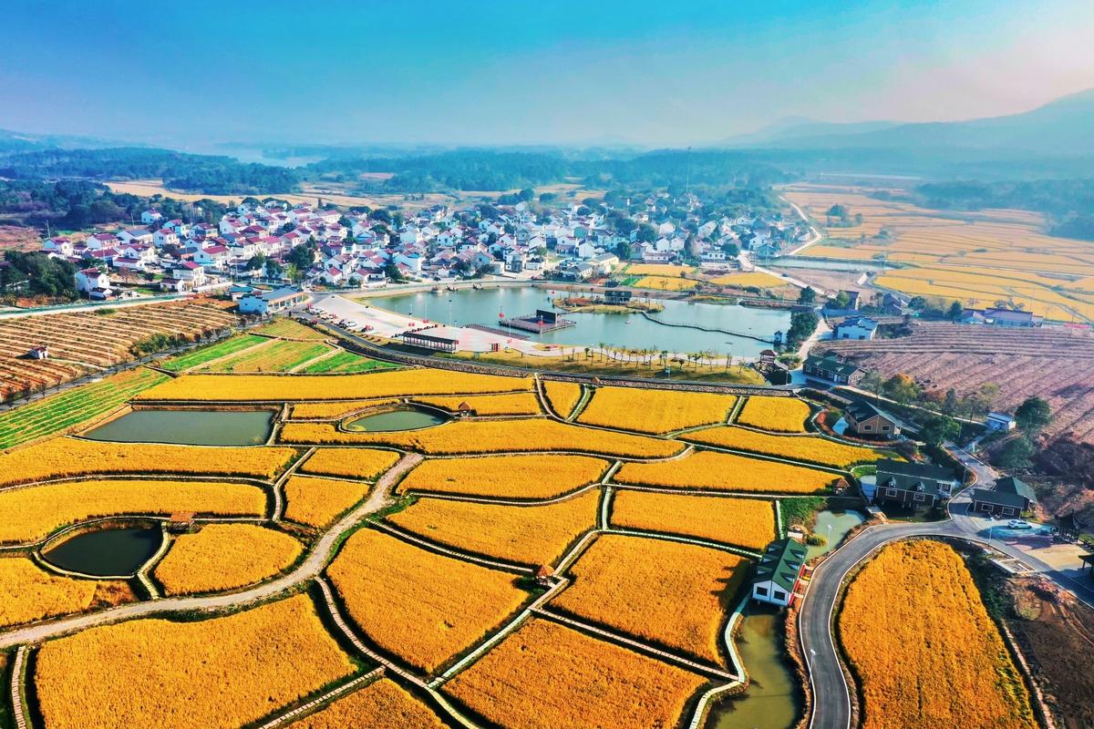富硒村在哪里