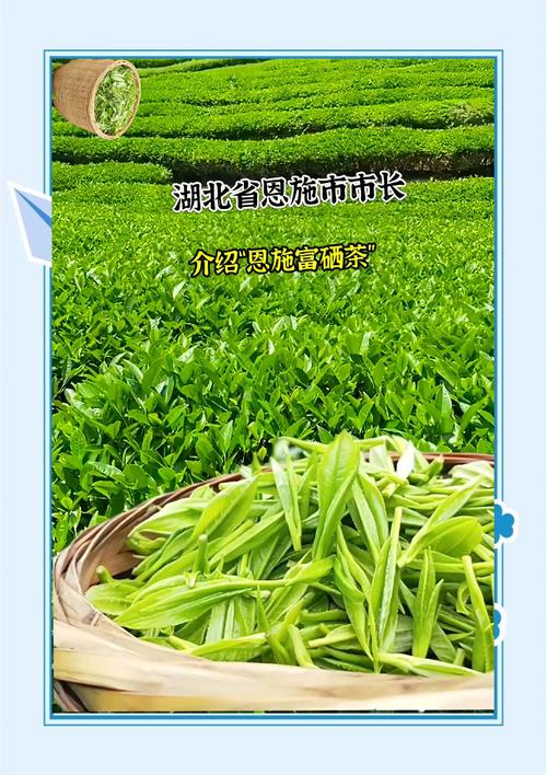湖北富硒贡茶