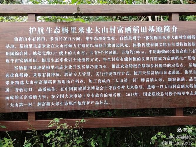 仙寓富硒野茶