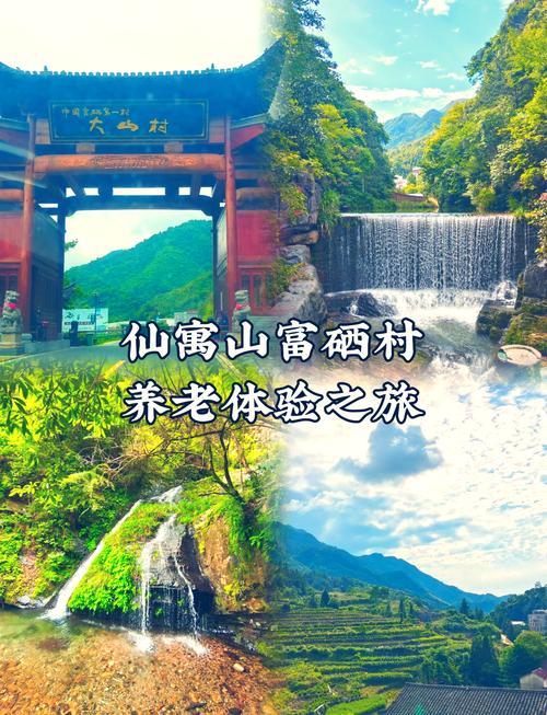 仙寓富硒野茶