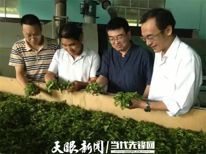 蒿稀绿富硒茶