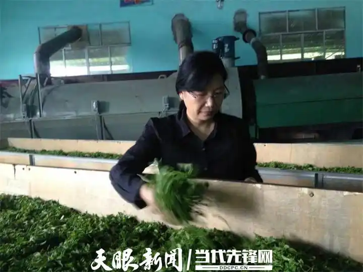 蒿稀绿富硒茶