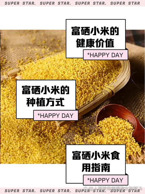 富硒大米海报