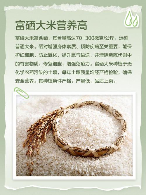 富硒大米海报