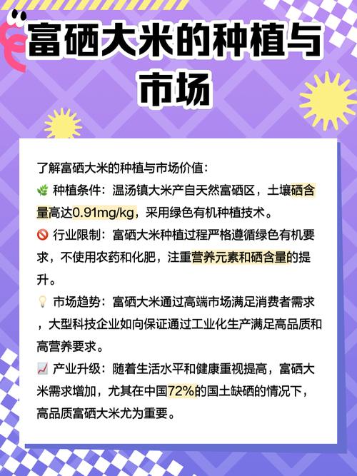 富硒大米海报