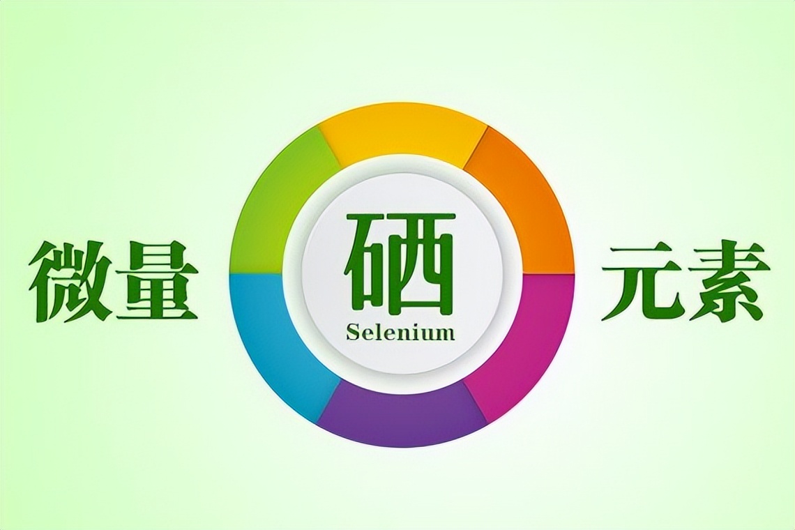 人为什么补硒