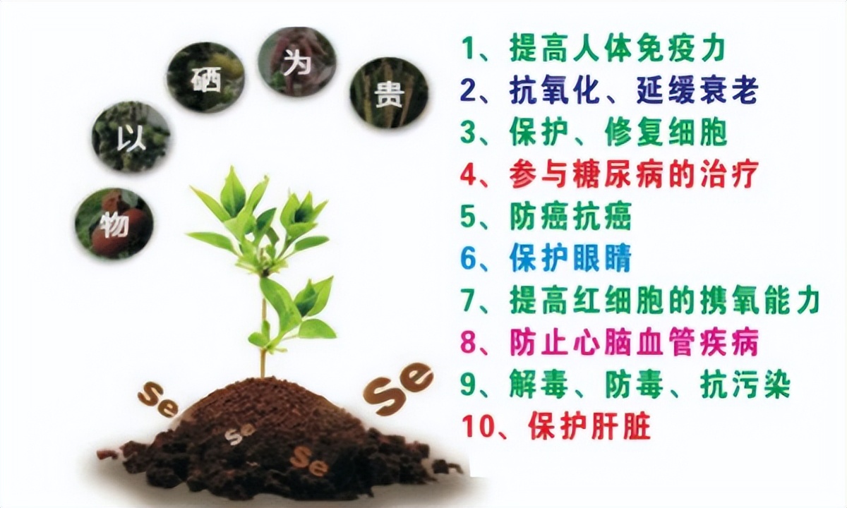 全国补硒现状