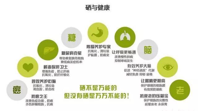 补硒工程股份