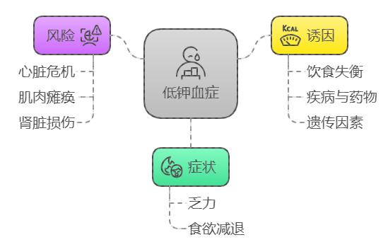 钾低需要补硒