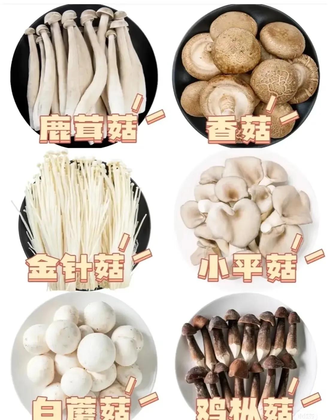 补硒能减肥吗