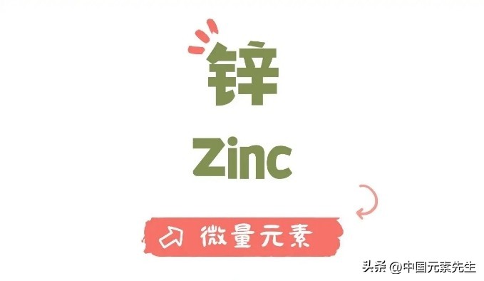锌跟硒补什么