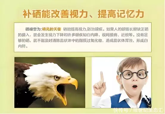 补硒会过敏吗