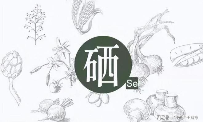 补硒会过敏吗