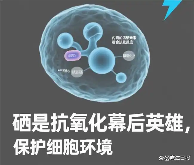男性补硒锌硒