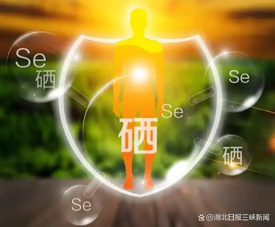 补硒选哪种硒
