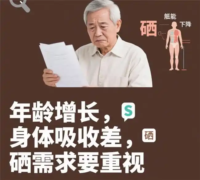 补硒选哪种硒
