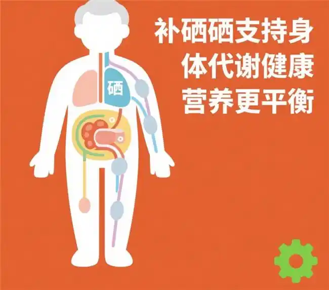 补硒选哪种硒