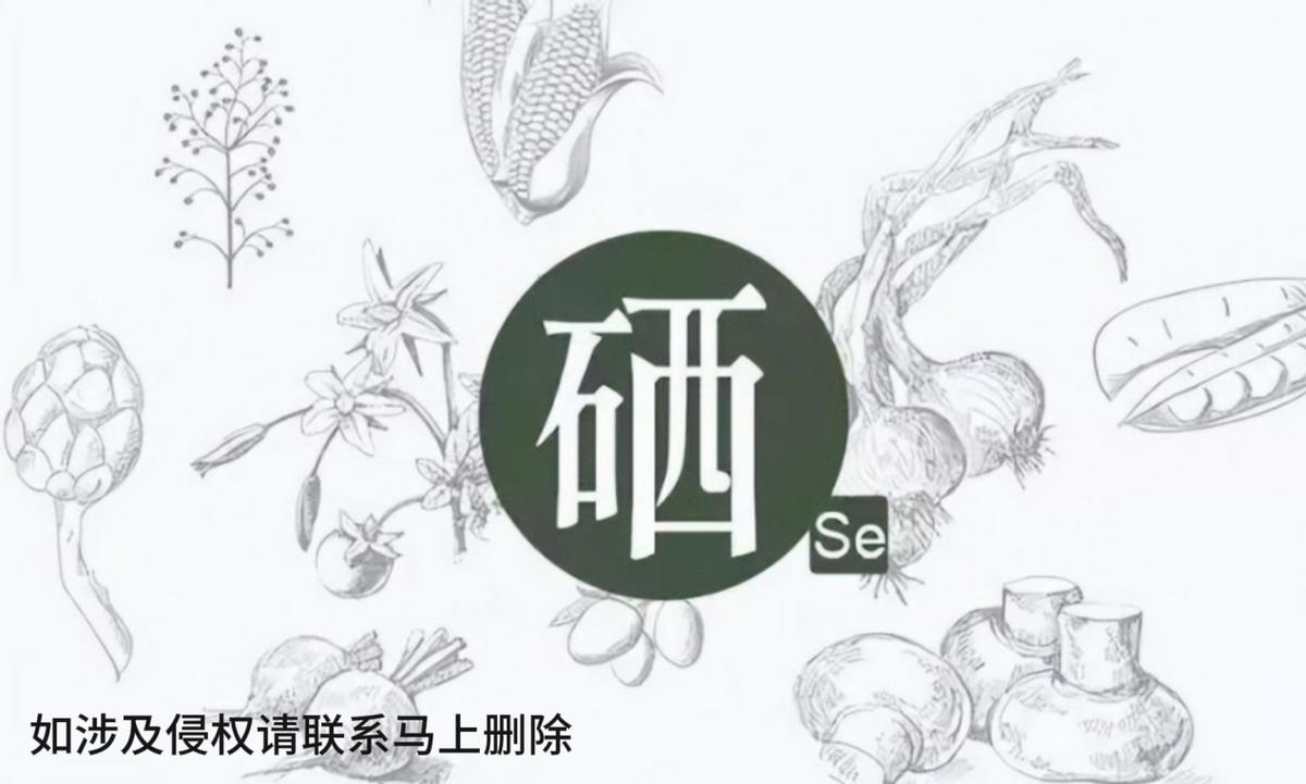 硒酵母补硒么