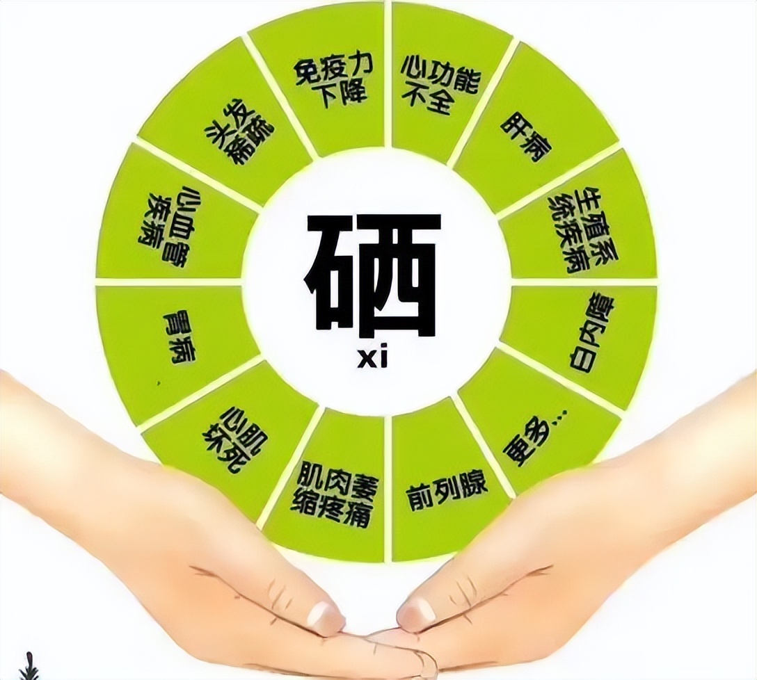 硒酵母补硒么