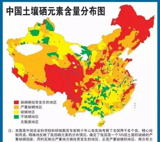 牛补硒补多久