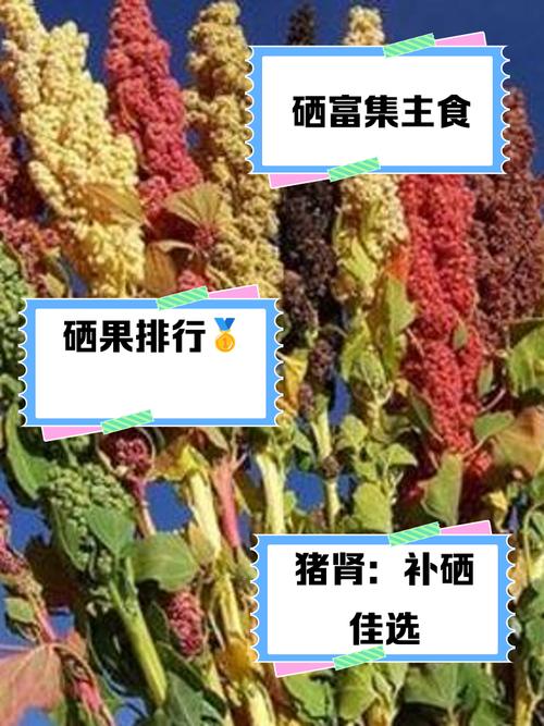 儿童补镁补硒