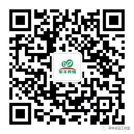 羊补硒补多少