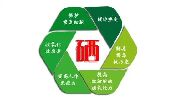 硒酸作补硒剂