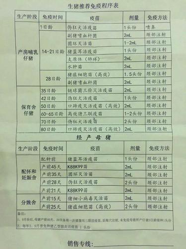 母猪补硒饲料