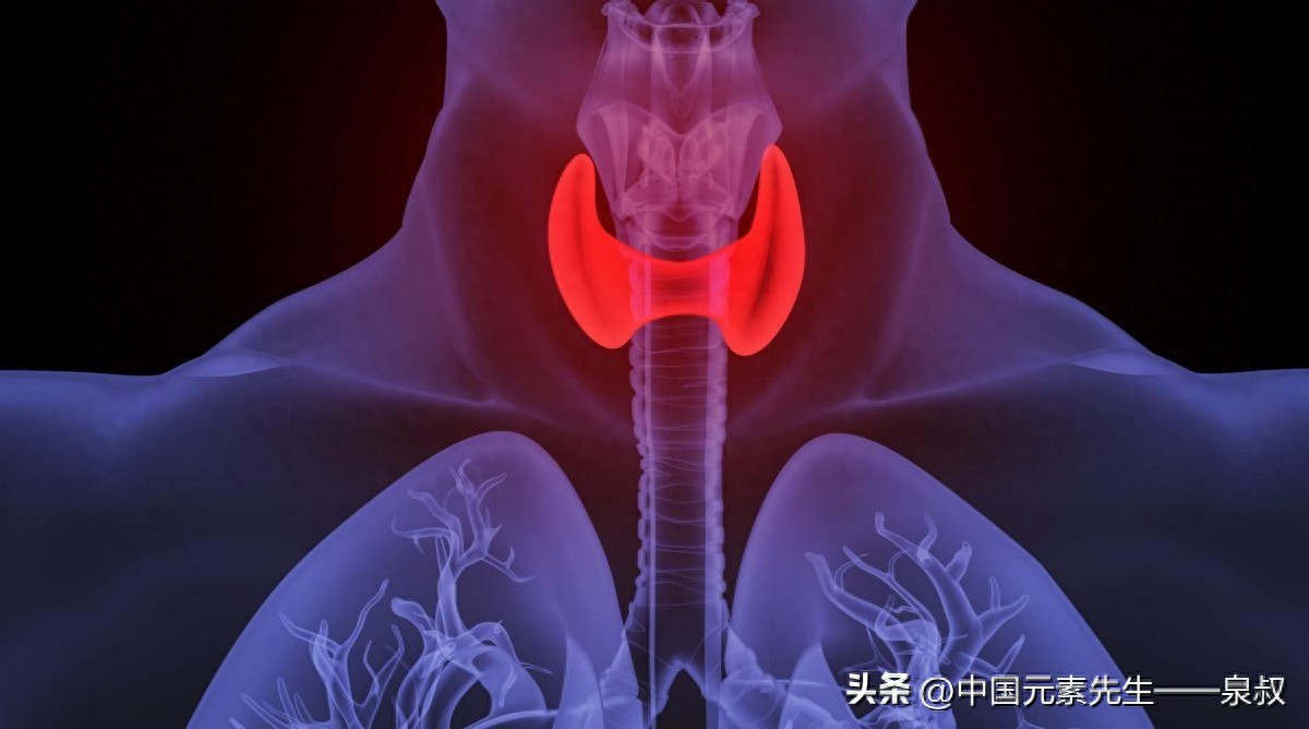 甲亢补硒推荐