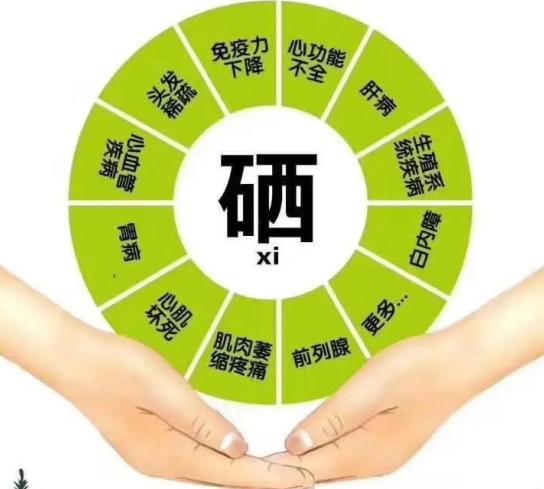 补硒食物含量
