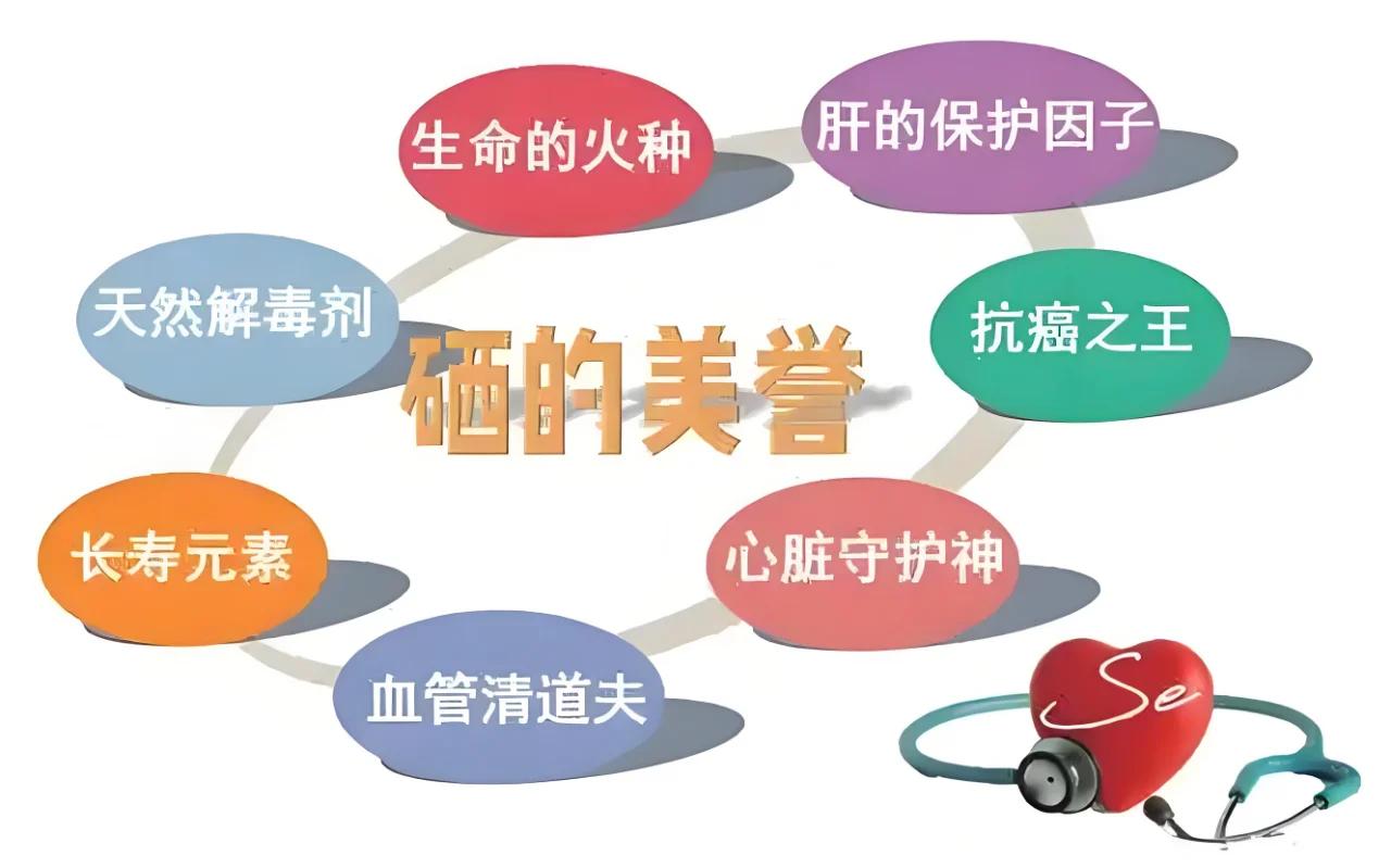 补硒食物含量