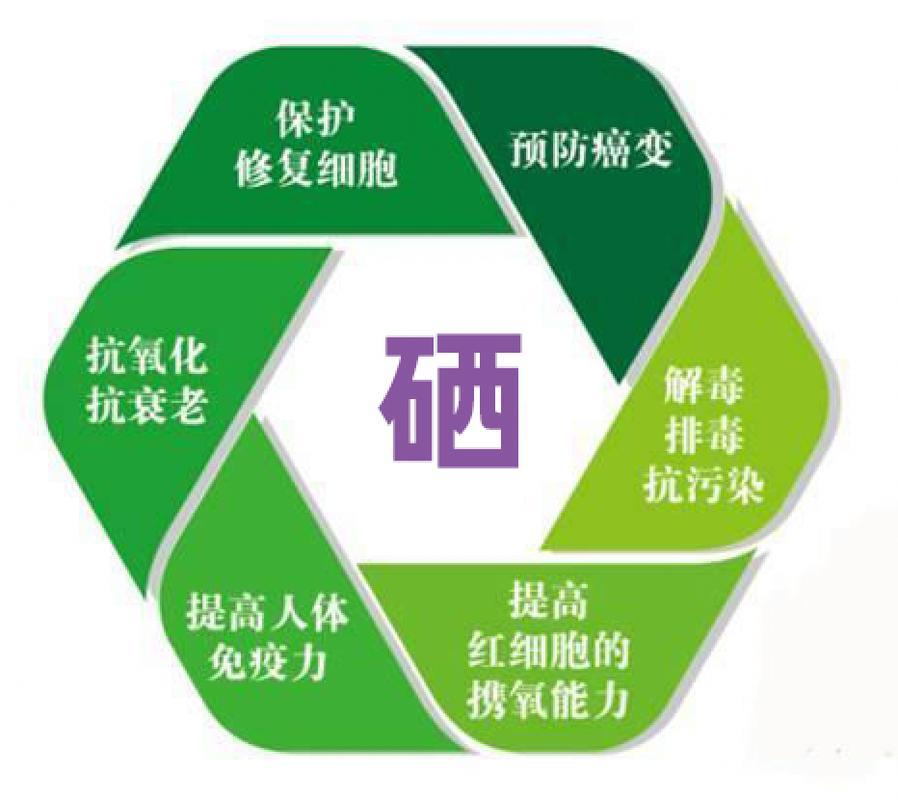 补硒食物含量