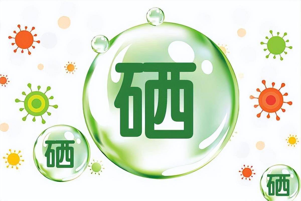 补硒食物含量