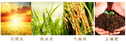 补硒恩施大米