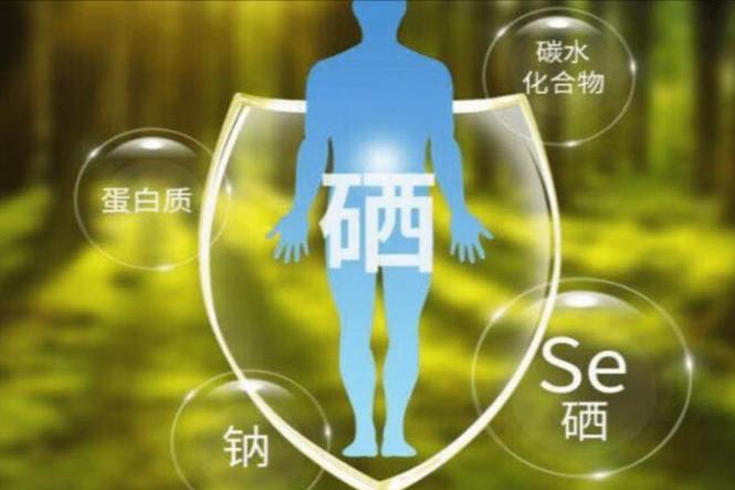 女性补硒元素
