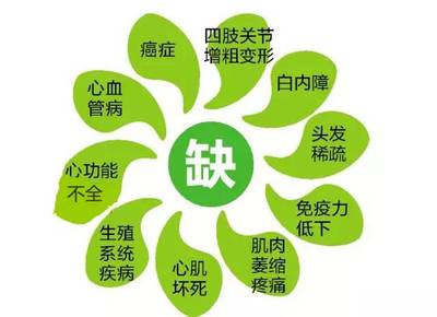 成人补硒排名