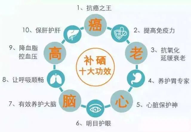 成人补硒排名