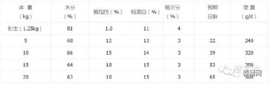 仔猪正确补硒