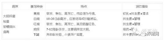 仔猪正确补硒