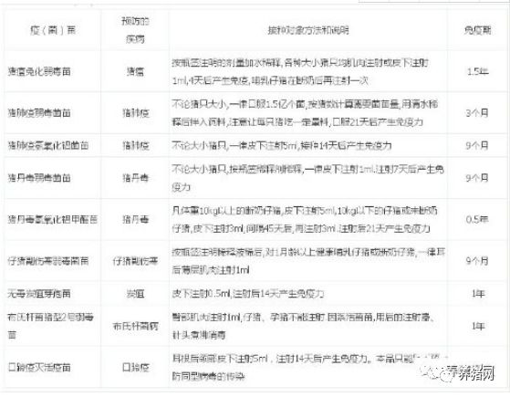 仔猪正确补硒