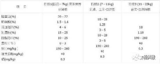 仔猪正确补硒