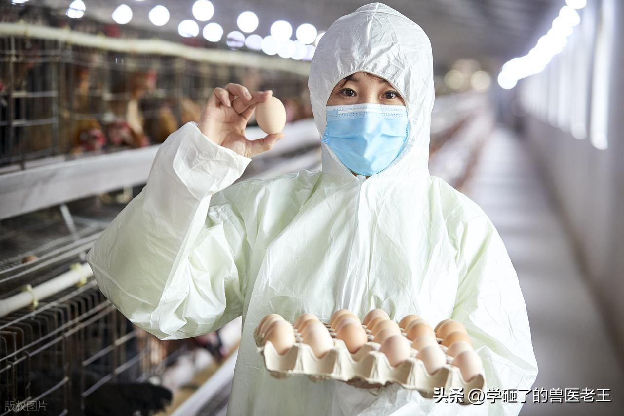 孩子需要补硒