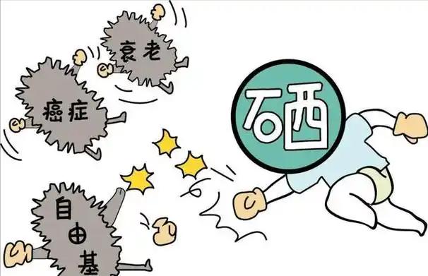 孕妇 补硒的