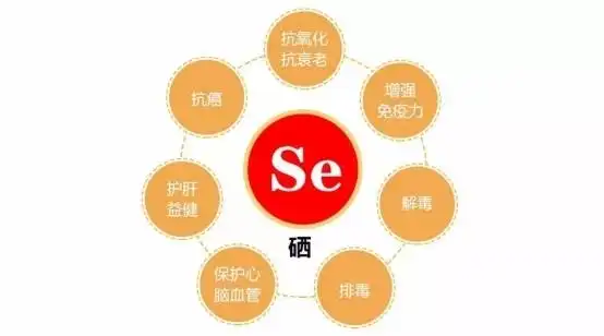 什么年龄补硒