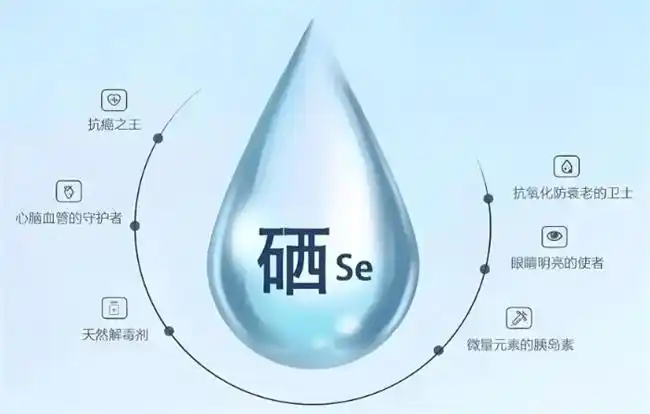 每日如何补硒
