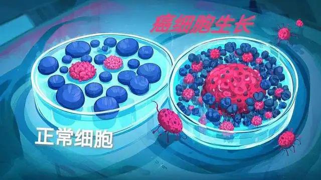 防癌抗老补硒