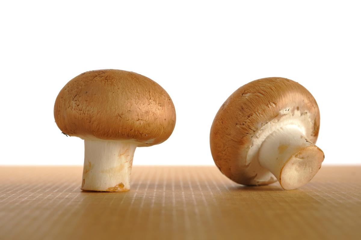 哪种蘑菇补硒