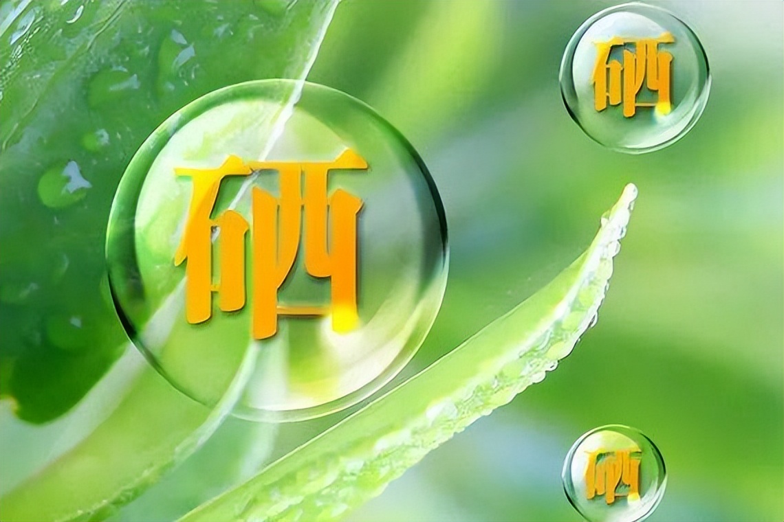 哪种蘑菇补硒