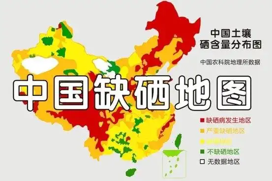 甲亢补硒药物